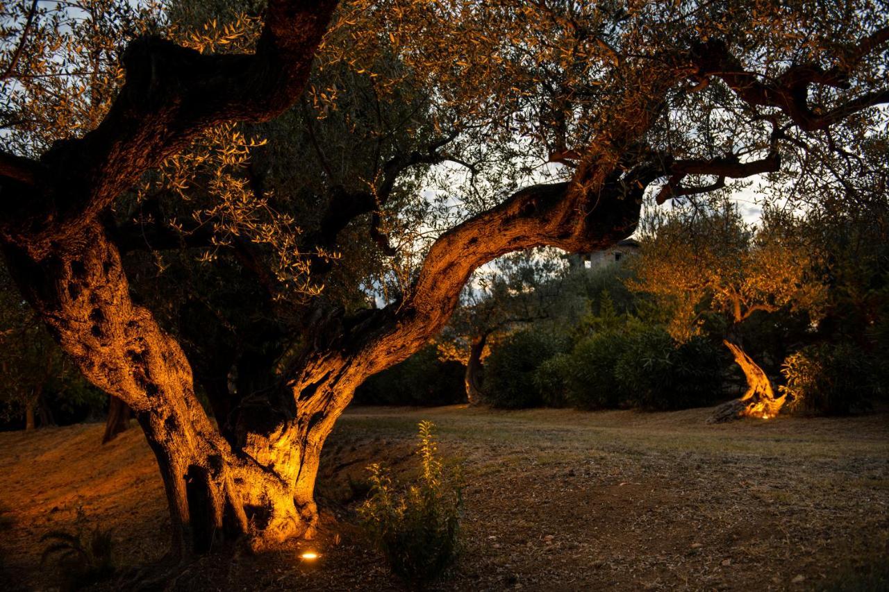 Casale Delle Lavande Читта Сань Анджело Экстерьер фото